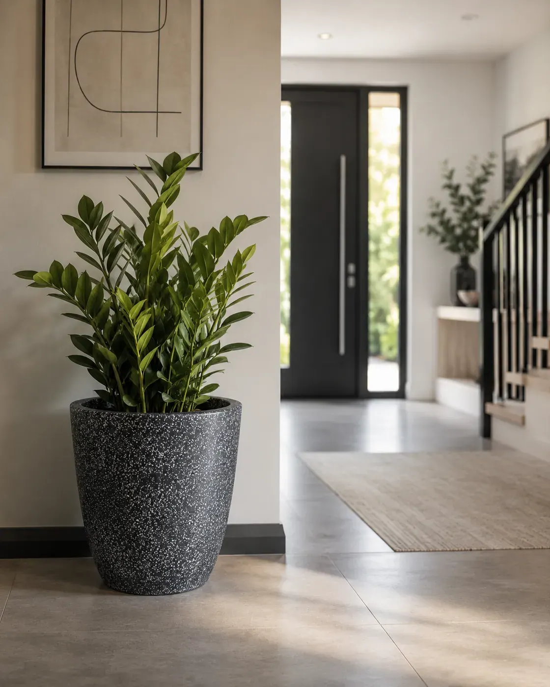 A charcoal Fahari Short Cone planter holding a ZZ plant in the entrance hall of a modern house, beside the front door